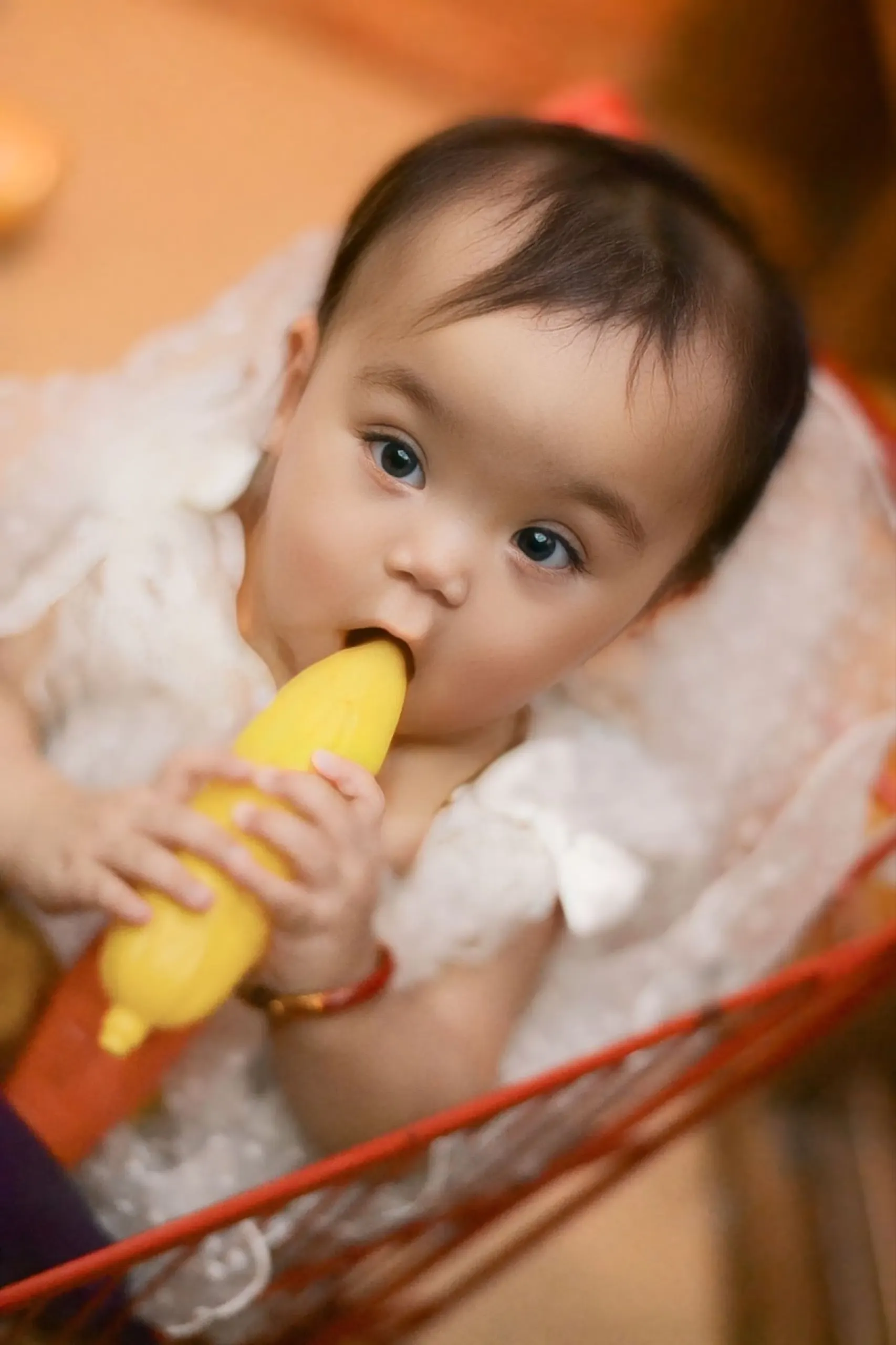 Baby toddler photoshoot kids photography