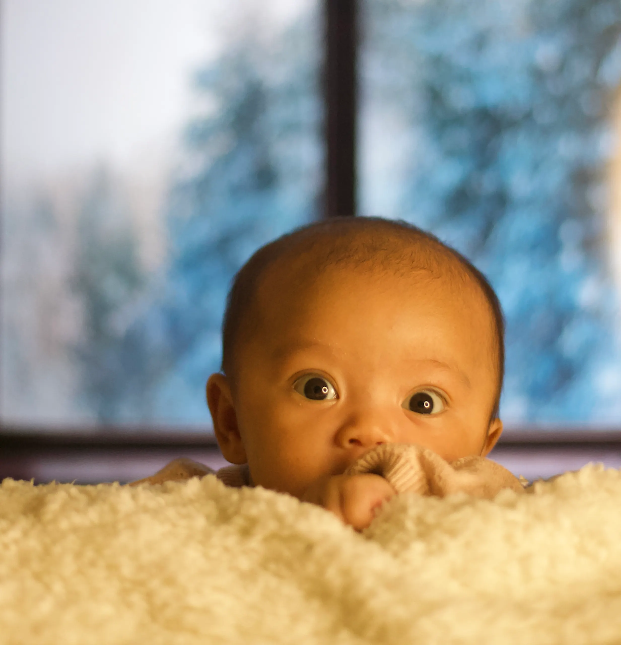 Newborn baby photoshoot kids photography
