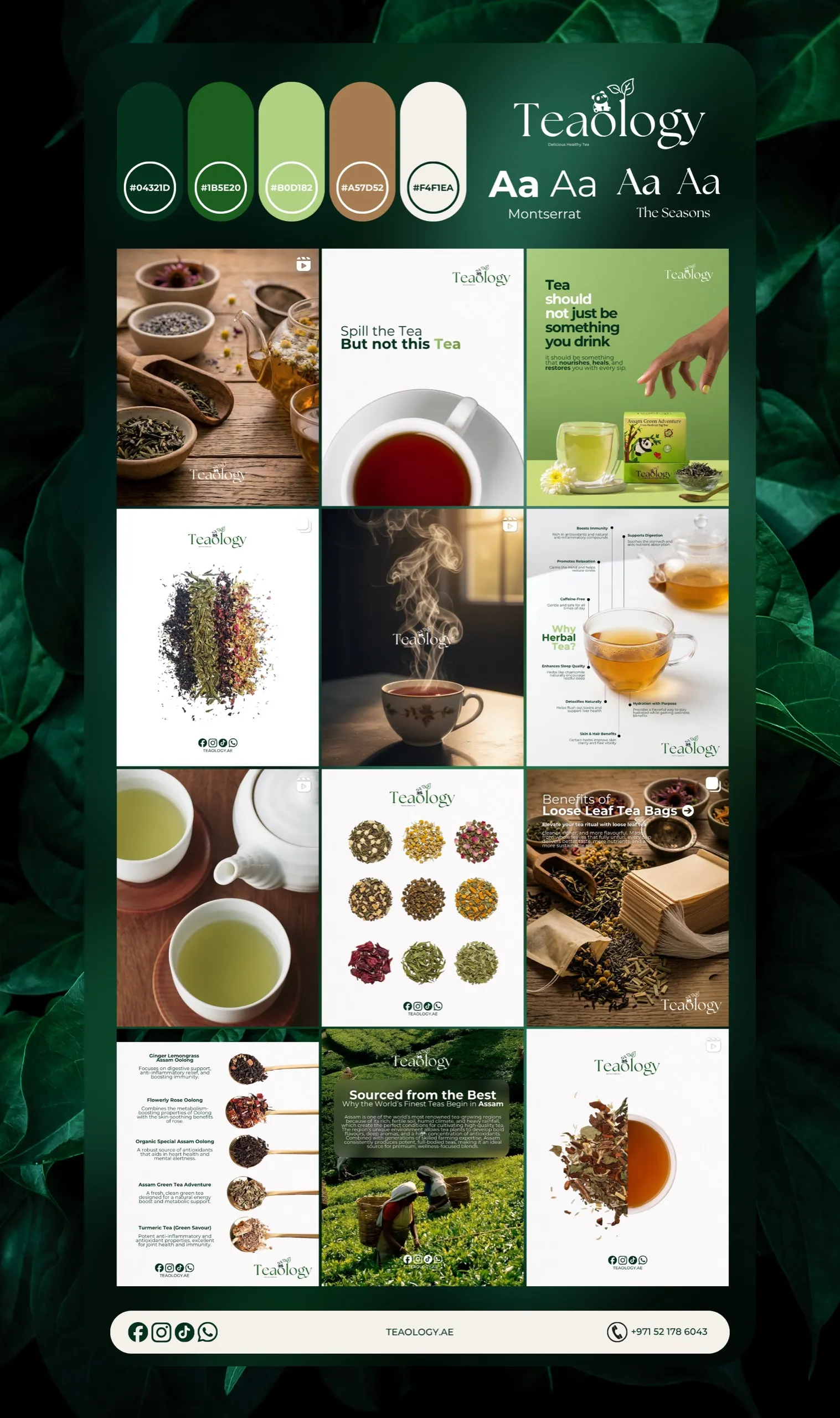 Teaology Dubai brand guidelines brand identity design